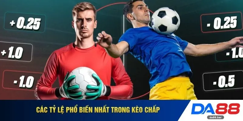 Kèo Chấp - Sổ Tay Bí Kíp Nhận Định Kèo Cho Tân Thủ 2026 2 Các tỷ lệ phổ biến nhất trong kèo chấp